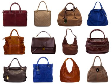 Set of multicolored female bags-5 clipart