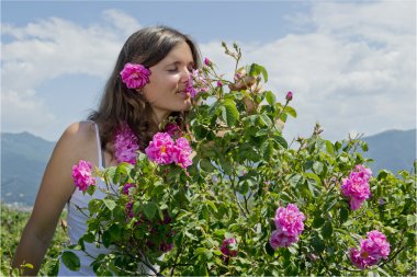 Beautiful girl smelling a rose in a field of roses clipart