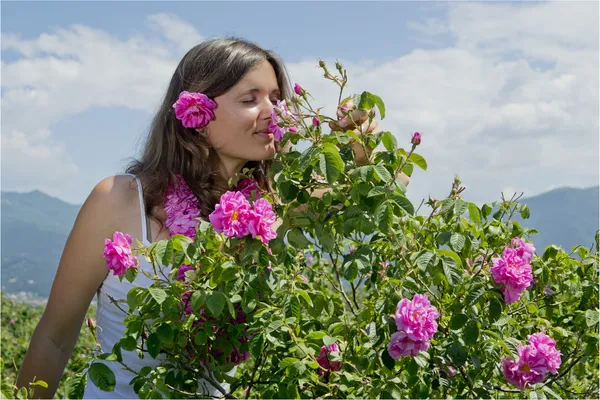 Schönes Mädchen, das eine Rose in einem Rosenfeld riecht — Stockfoto