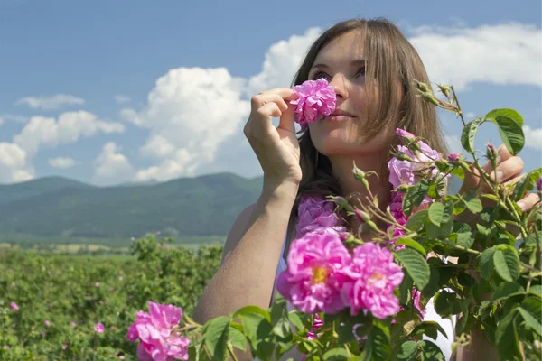 Schönes Mädchen, das eine Rose in einem Rosenfeld riecht — Stockfoto
