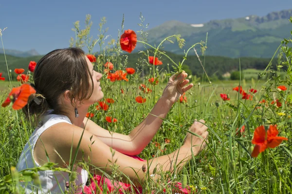 Summer and poppies — Stock Photo, Image