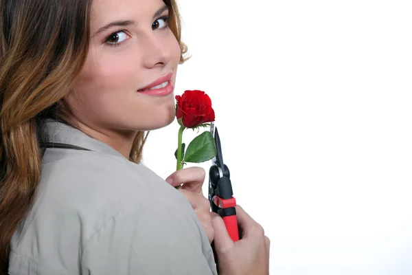 Women cut flower — Stock Photo, Image