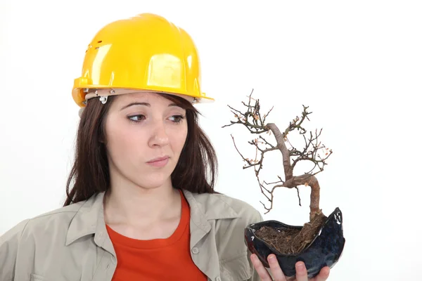Uma trabalhadora de construção feminina segurando uma planta morta . — Fotografia de Stock