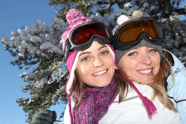 Twee ski's vrienden — Stockfoto