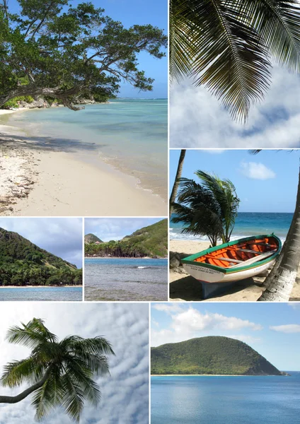Montage van een tropisch strand — Stockfoto