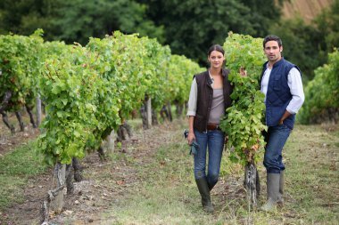 Couple posing in a vineyard clipart