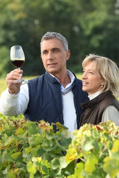 Winegrower with glass of wine — Stock Photo, Image
