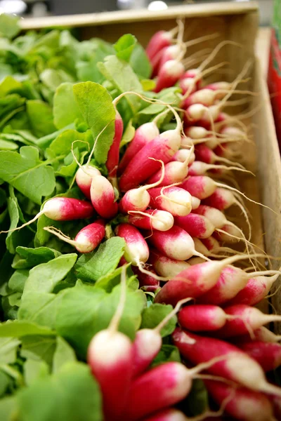 Box of radishes — Stock Photo, Image