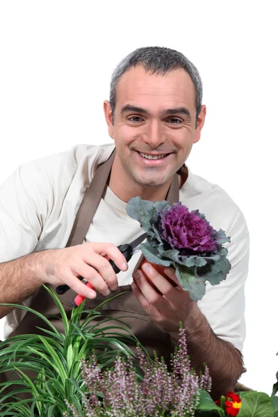 Portrét muže s rostlinami — Stock fotografie