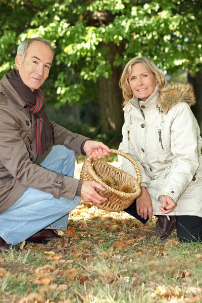 Couple foraging in the woods — Stock Photo, Image