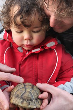 Father showing a turtle to his son clipart