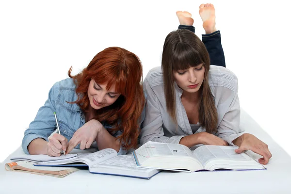 Estudantes do sexo feminino trabalhando juntas — Fotografia de Stock