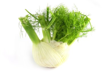 Fennel clipart