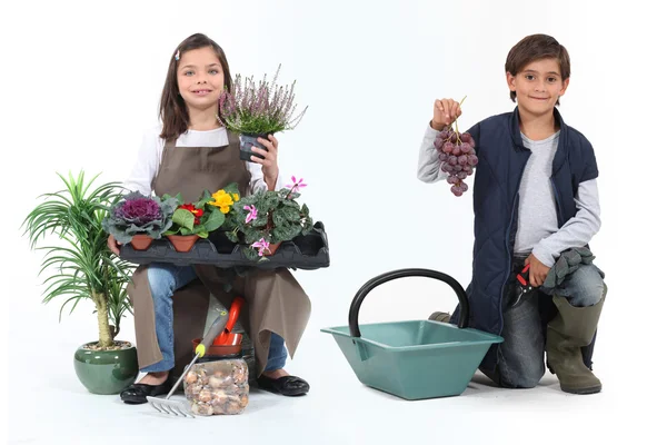 Liten flicka klädd i florist och en liten pojke klädd i druvsaft skördetröska — Stockfoto