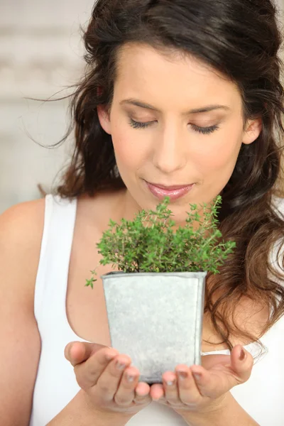 Woman smelling a herb pot — Stock Photo, Image