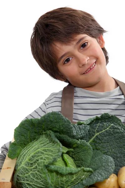 Kleiner Junge mit einer Kiste Gemüse — Stockfoto