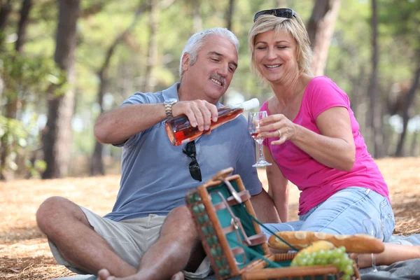 Couple having a picnic — Stock Photo, Image