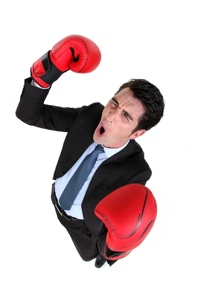 Businessman wearing boxing gloves — Stock Photo, Image
