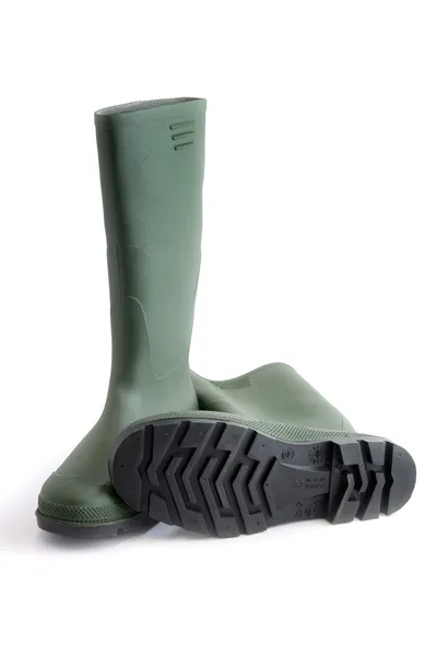 Wellington boots — Stock Photo, Image