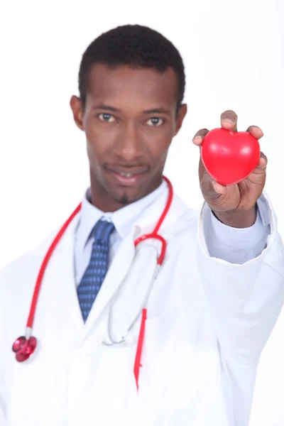 Plastic heart being held by a hospital doctor — Stock Photo, Image