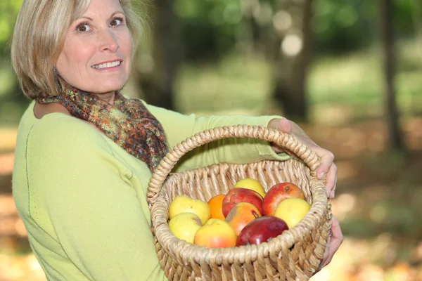 Woman carrying basket of apples — Stock Photo, Image