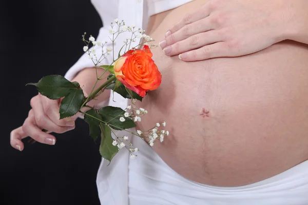 Беременная женщина с розой в руках — стоковое фото