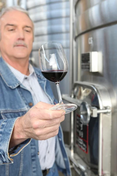 Winemaker with a glass of wine — Stock Photo, Image