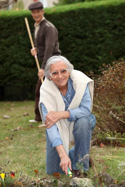 Couple collecting leaves — Stock Photo, Image