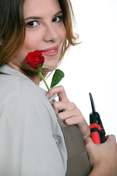 Čerstvě řezané růže. — Stock fotografie