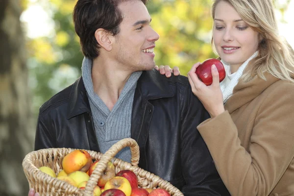 Couple ramassant des pommes — Photo