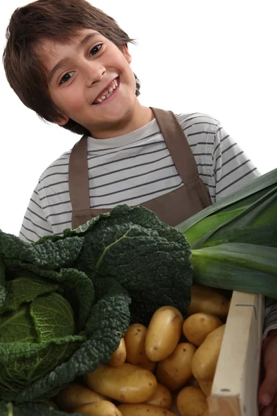 Criança de pé atrás de legumes — Fotografia de Stock