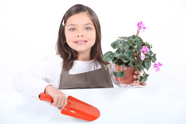 Маленькая девочка держит горшок и лопату — стоковое фото