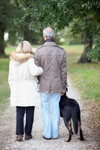 Senior having a walk with dog — Stock Photo, Image
