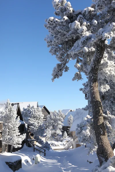 雪に覆われた村 — ストック写真