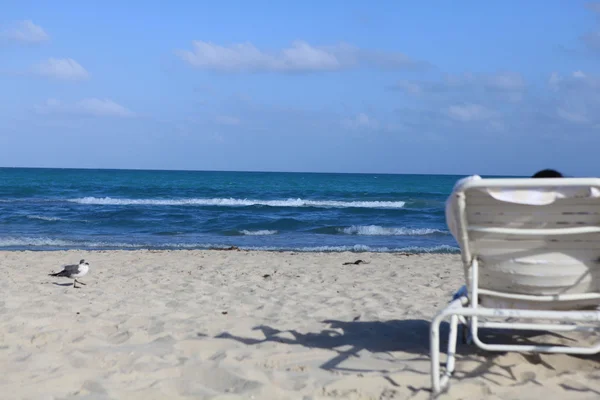 Chaise longue sur une plage — Photo
