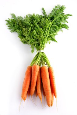 Carrots clipart