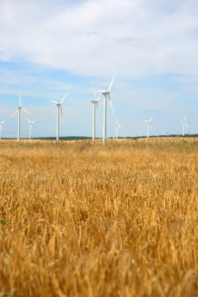 Farma wiatrowa w polu pszenicy — Zdjęcie stockowe