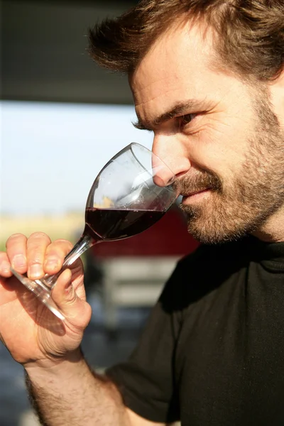 Conocedor del vino —  Fotos de Stock