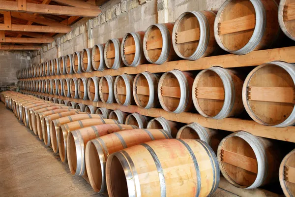 Cellar in winery — Stock Photo, Image