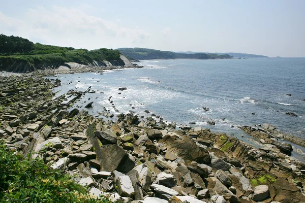 Fronte mare roccioso — Foto Stock