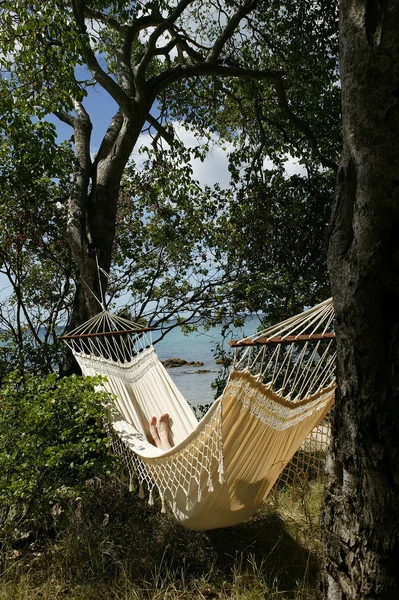Beach front hammock — Stock Photo, Image