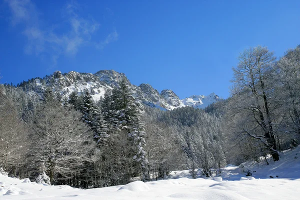 Neve paisagem coberta — Fotografia de Stock