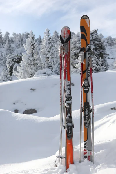 Ski 's in de sneeuw — Stockfoto