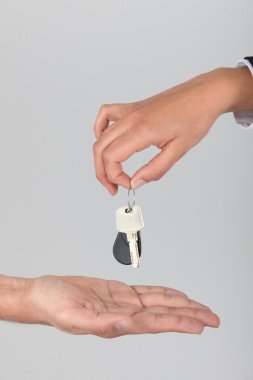 A set of keys clipart