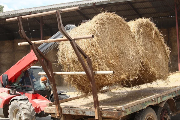Bails of hay — Stock Photo, Image