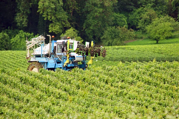 Un tractor en un viñedo —  Fotos de Stock
