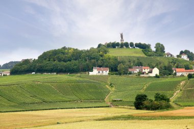 Champagne vineyards, Marne en Champagne-Ardenne clipart