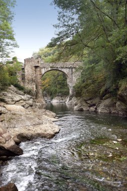 Bridge by a stream clipart