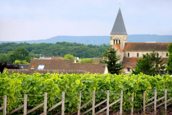 Wijnstok veld door een dorp — Stockfoto