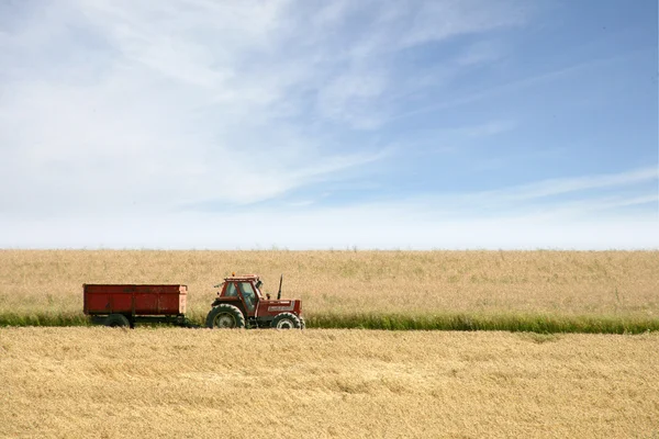 Tractor in a hay field — Stock Photo, Image